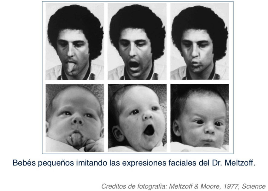 Bebes pequeños imitando expresiones faciales